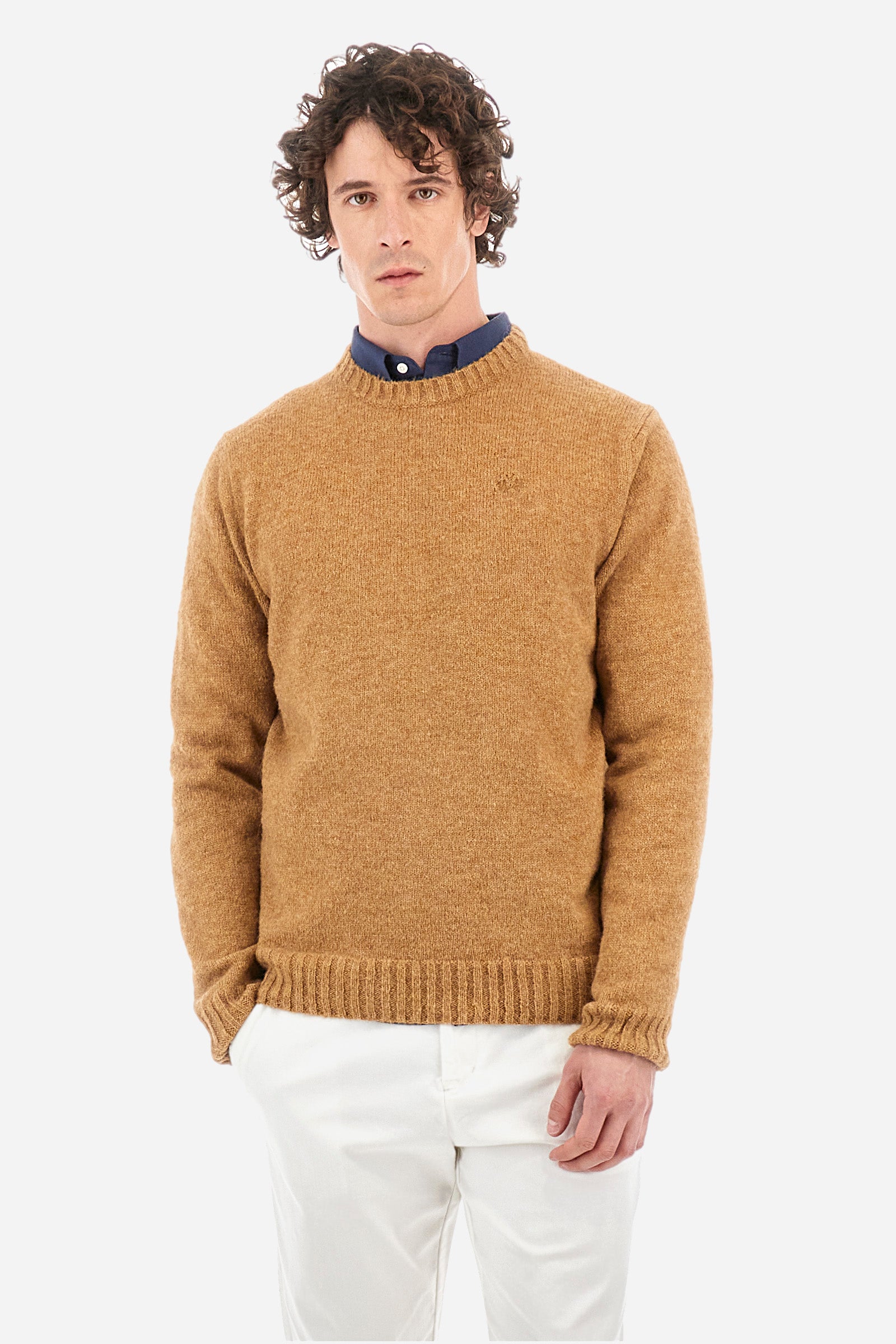 Men’s Blue Ribbon Long Sleeve Sweater in Regular Fit Alpaca Blend