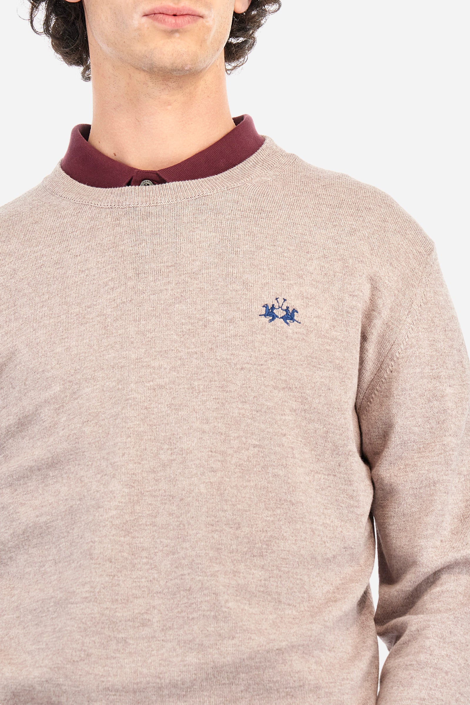 Regular fit pullover in cotton and wool - Zayden