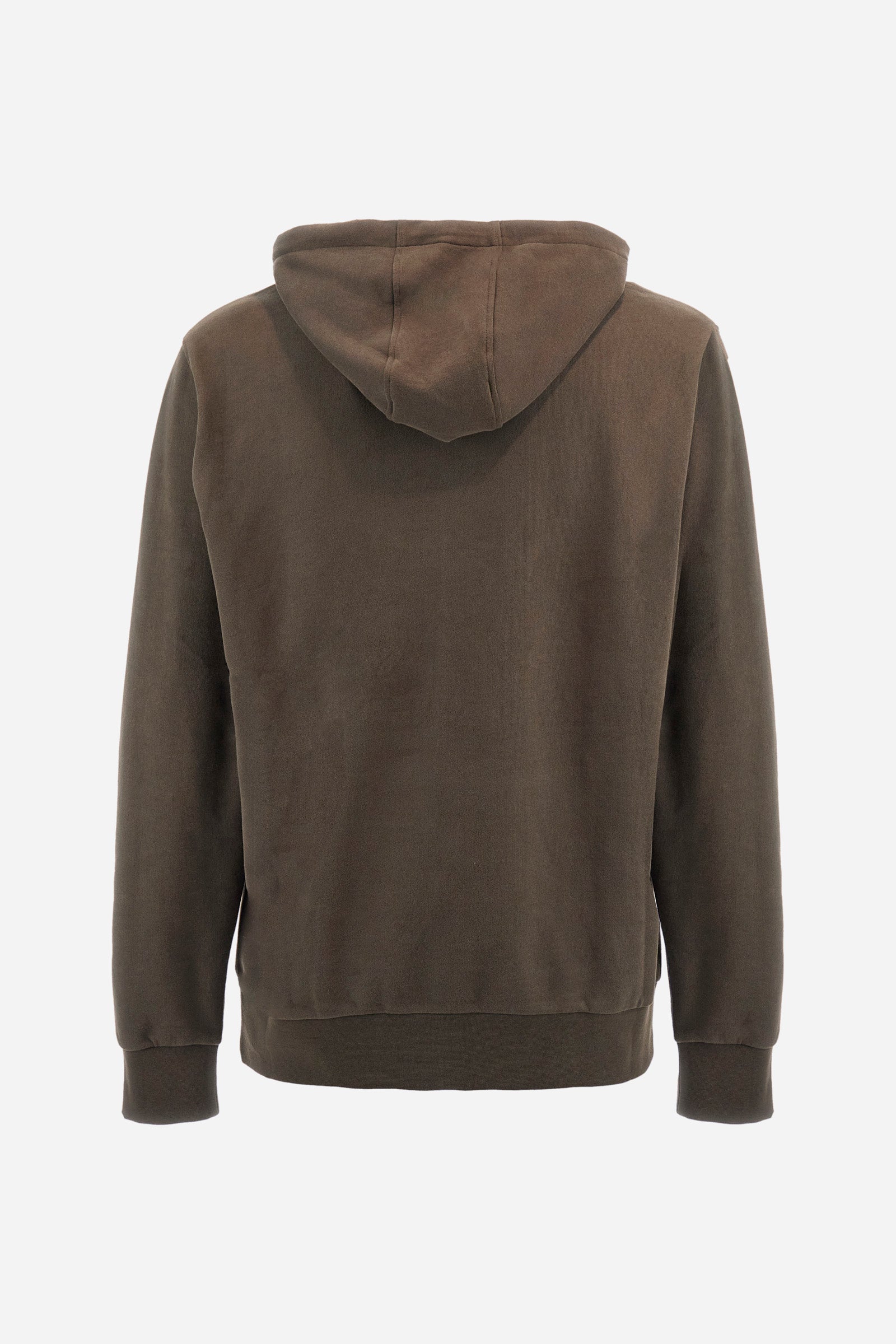 Regular-fit sweatshirt in cotton - Zackie