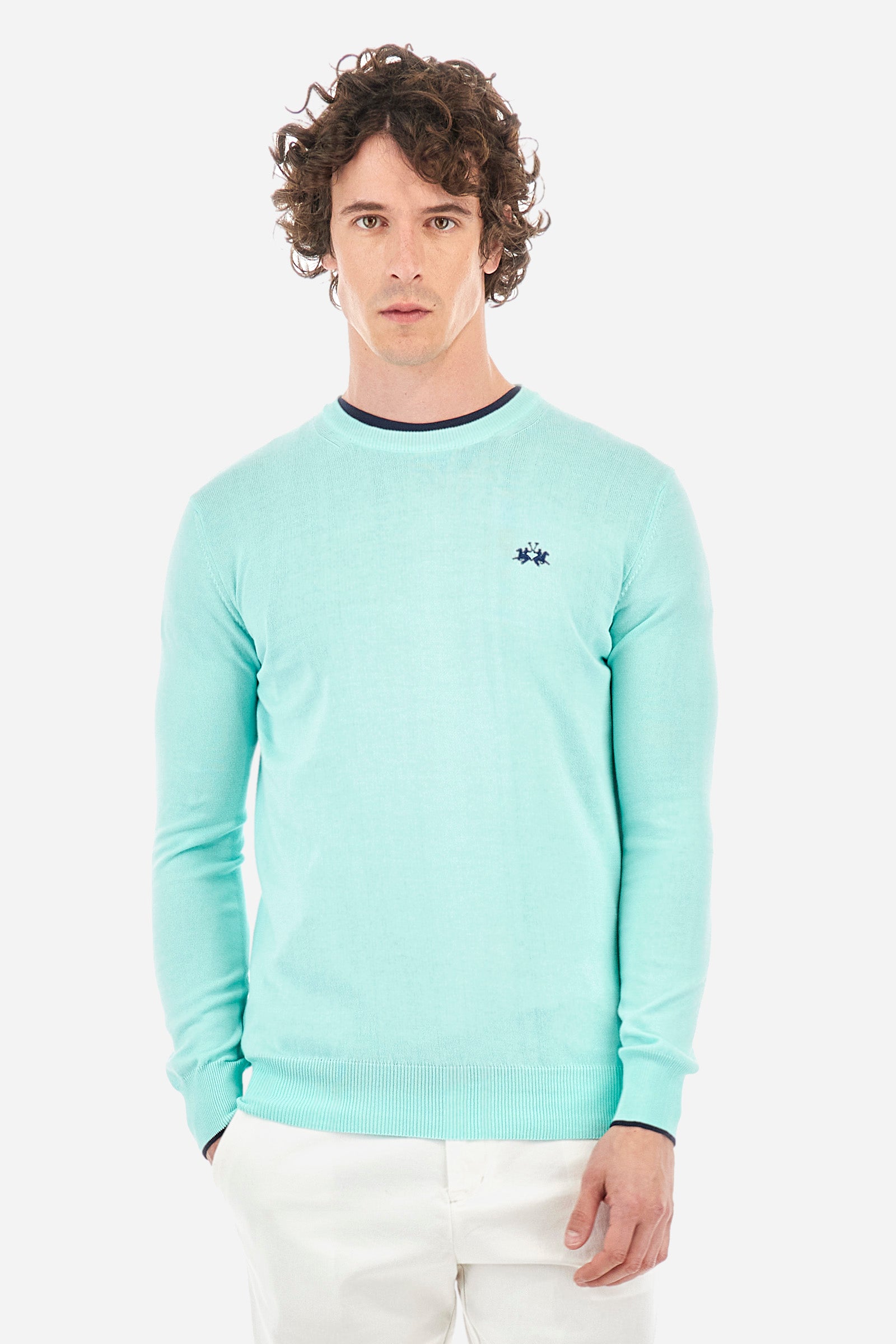 Regular-fit jumper in cotton - Yousef