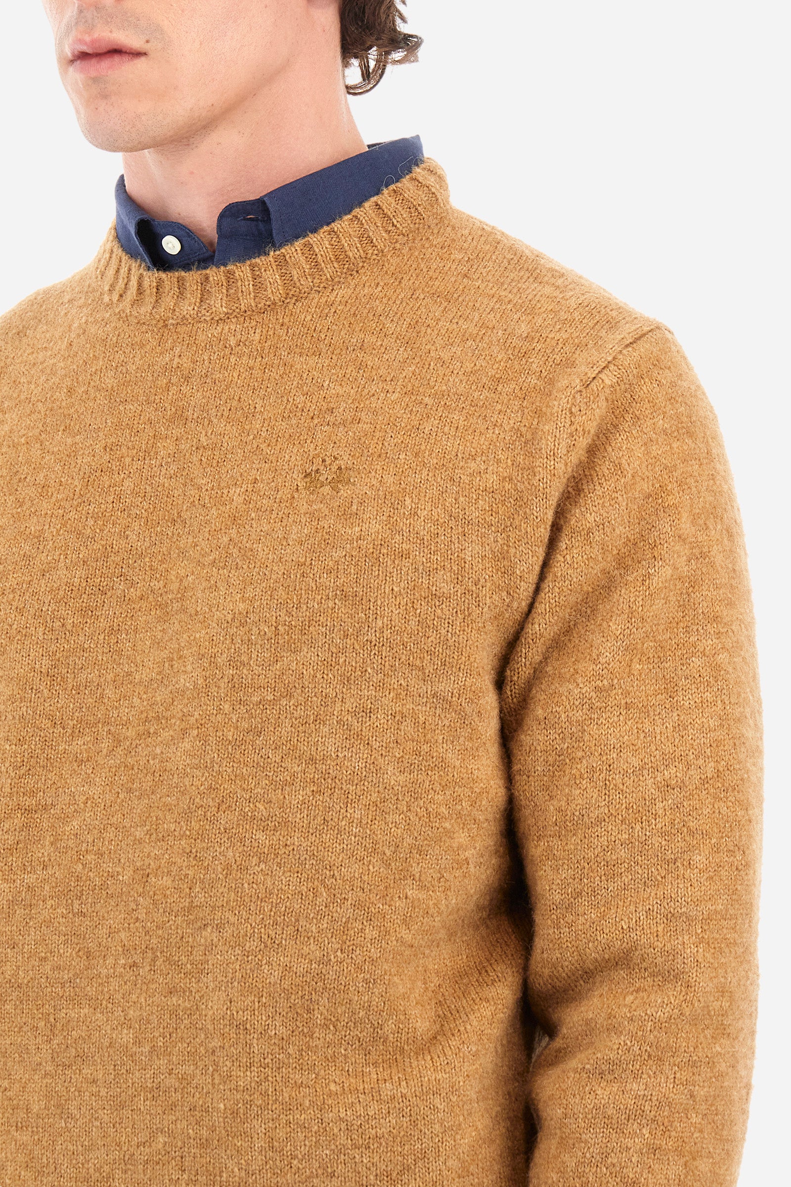 Men’s Blue Ribbon Long Sleeve Sweater in Regular Fit Alpaca Blend