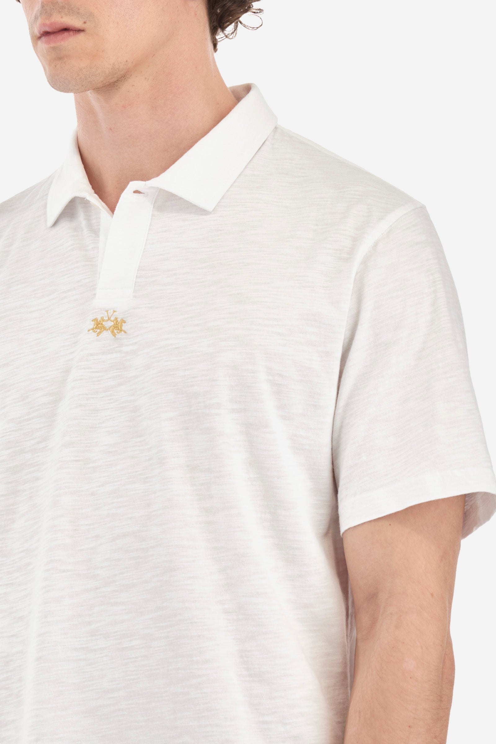 Men's polo shirt in a regular fit - Polo 19-42