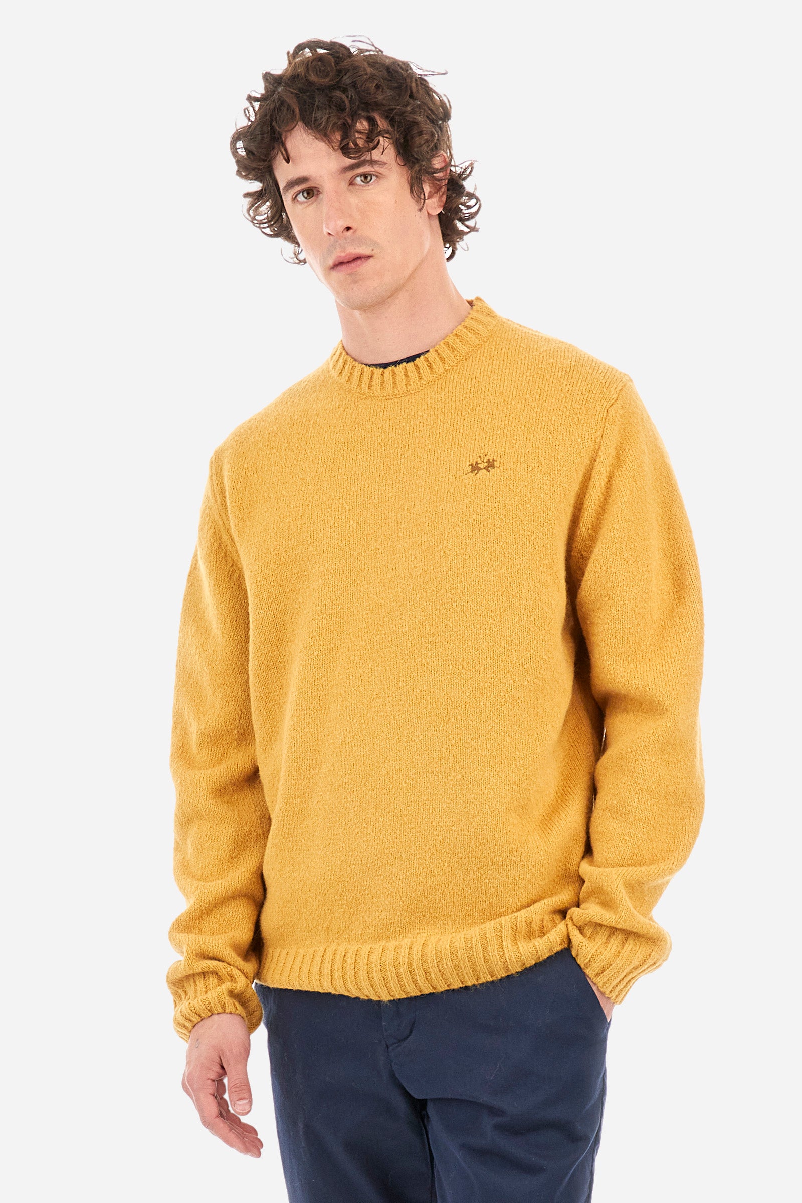 Men’s Blue Ribbon Long Sleeve Sweater in Regular Fit Alpaca Blend